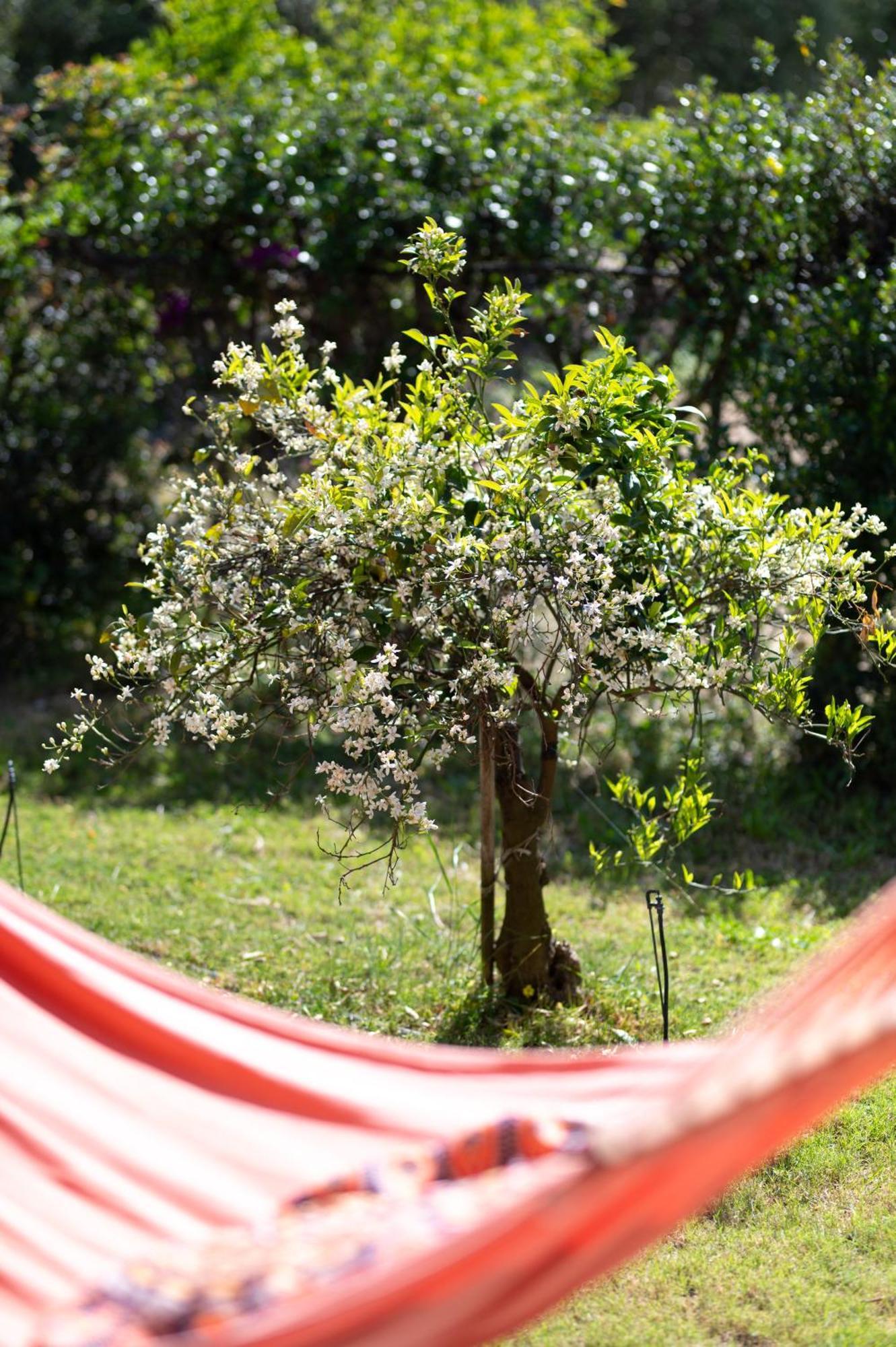 Resonance Experience - Tranquil Room Close To Beaches And Sacred Sites Sant Isidoro  Екстер'єр фото